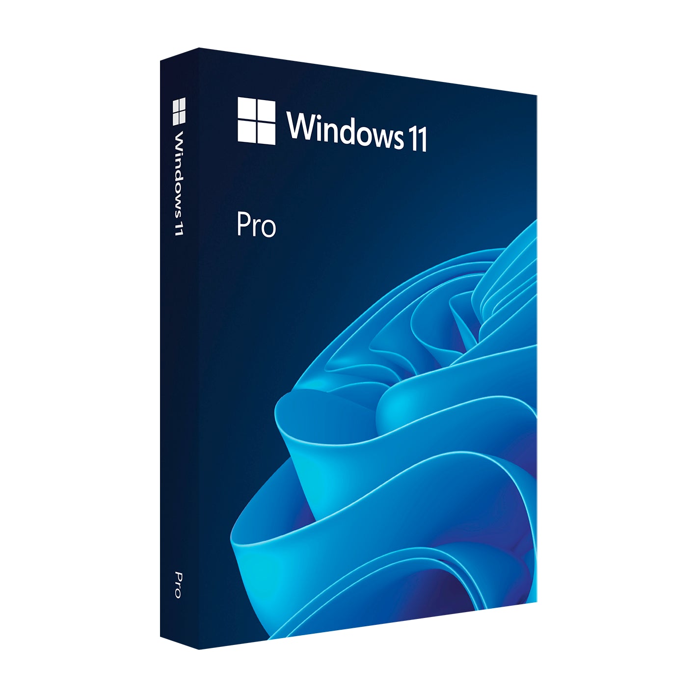 Windows 11 Pro